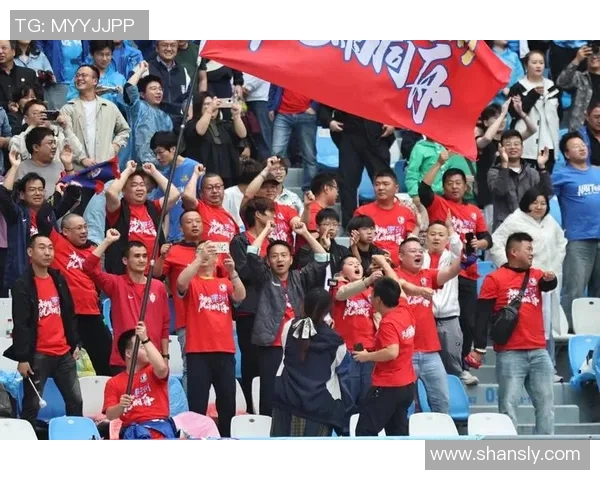 南京乒乓球队强势领跑联赛积分榜总分达到75分展现出色竞技状态