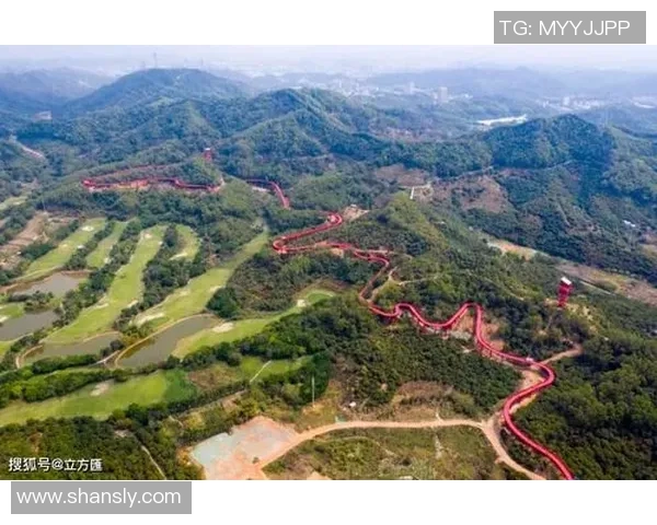 深圳网球队实力分析：聚焦年轻选手与团队协作的崛起之路