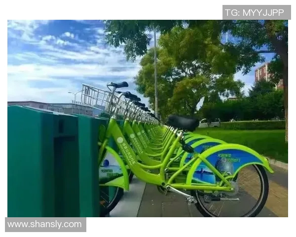 荷兰足球明星坚持绿色出行选择不坐飞机的环保理念与行动